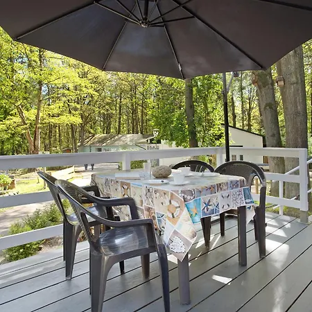 - Bark Sedov, Bgl 2 *