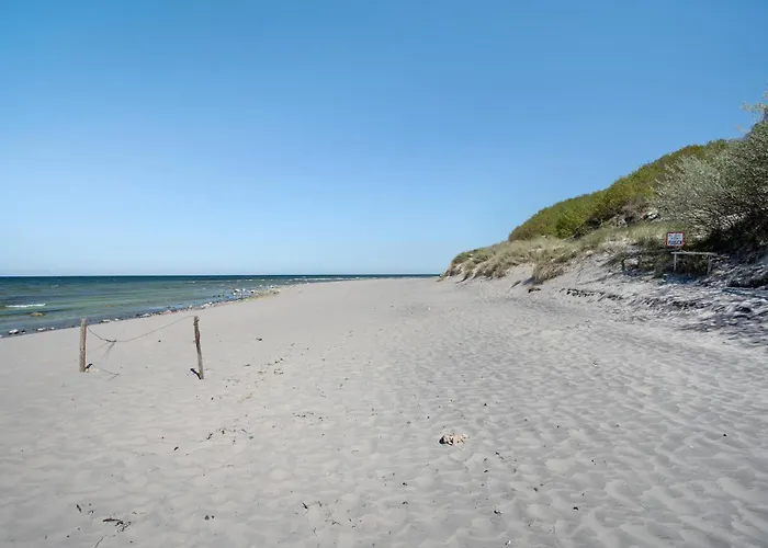 - Bark Sedov, Bgl 2 Дранске